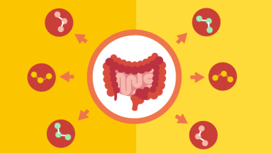 Impact of gut microbiota on physical and mental health (MyNewGut)