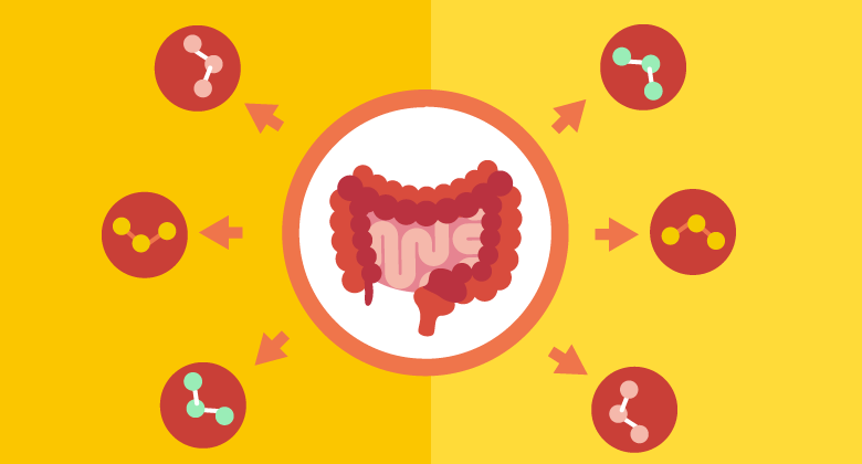 Impact of gut microbiota on physical and mental health (MyNewGut)